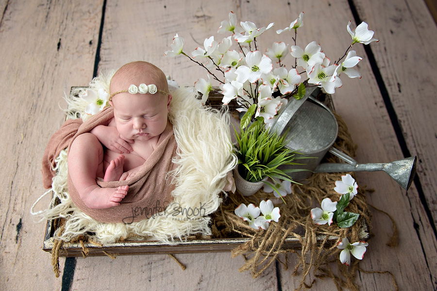best atlanta newborn photographer